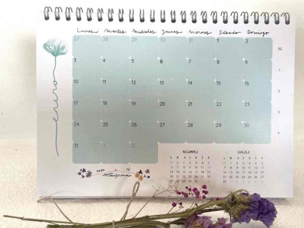 Calendario de mesa brava y colorida-003