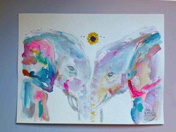 elefantes coloridos