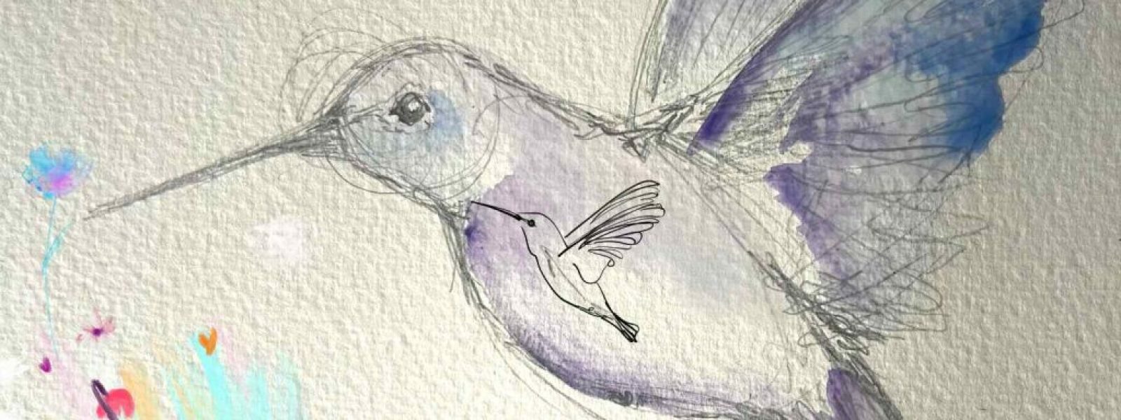 Cómo dibujar un colibrí bonito y colorido