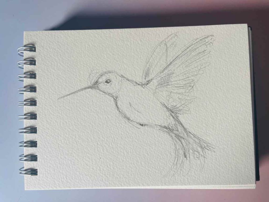 cómo dibujar un colibrí de acuarela