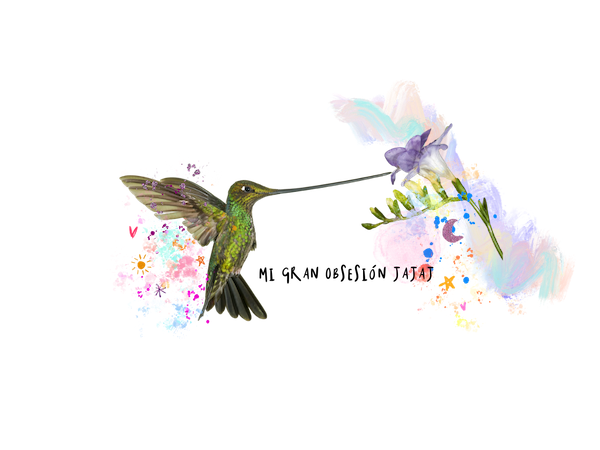 cómo dibujar un colibrí