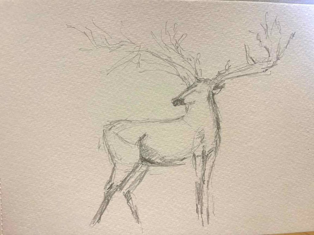 dibujar renos de navidad