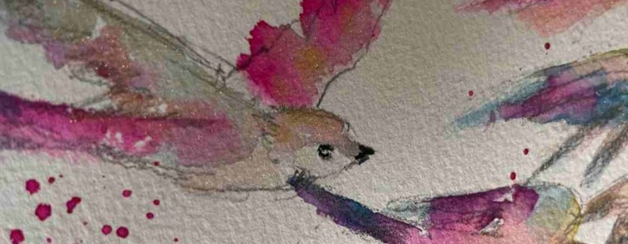 Cómo pintar pájaros en acuarela